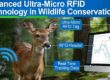 Advanced Ultra-Micro RFID Technology in Wildlife Conservation