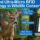 Advanced Ultra-Micro RFID Technology in Wildlife Conservation