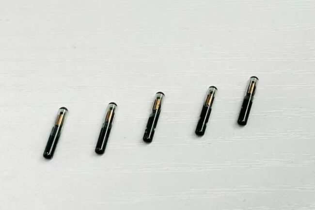 Animal microchips